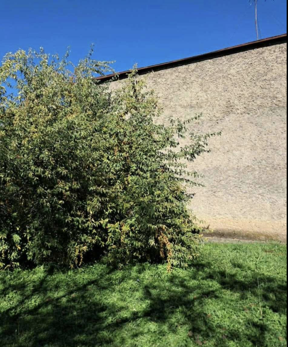 იყიდება 11 ოთახიანი კერძო სახლი წინანდალში